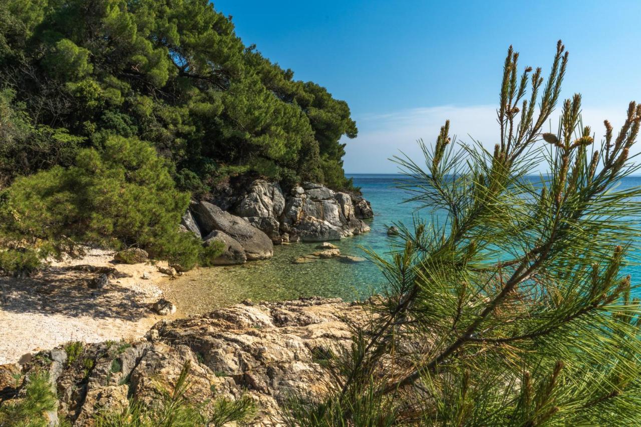 메타이나 Galapagus Privat Beach & Boat Dock 아파트 외부 사진